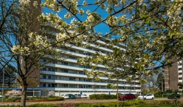 Lindenhof