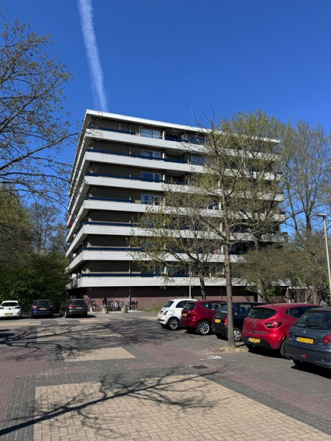 Marne
