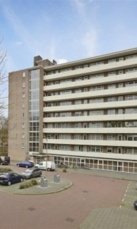 Populierenlaan