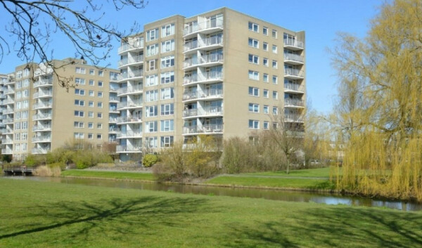 Rosa Spierlaan